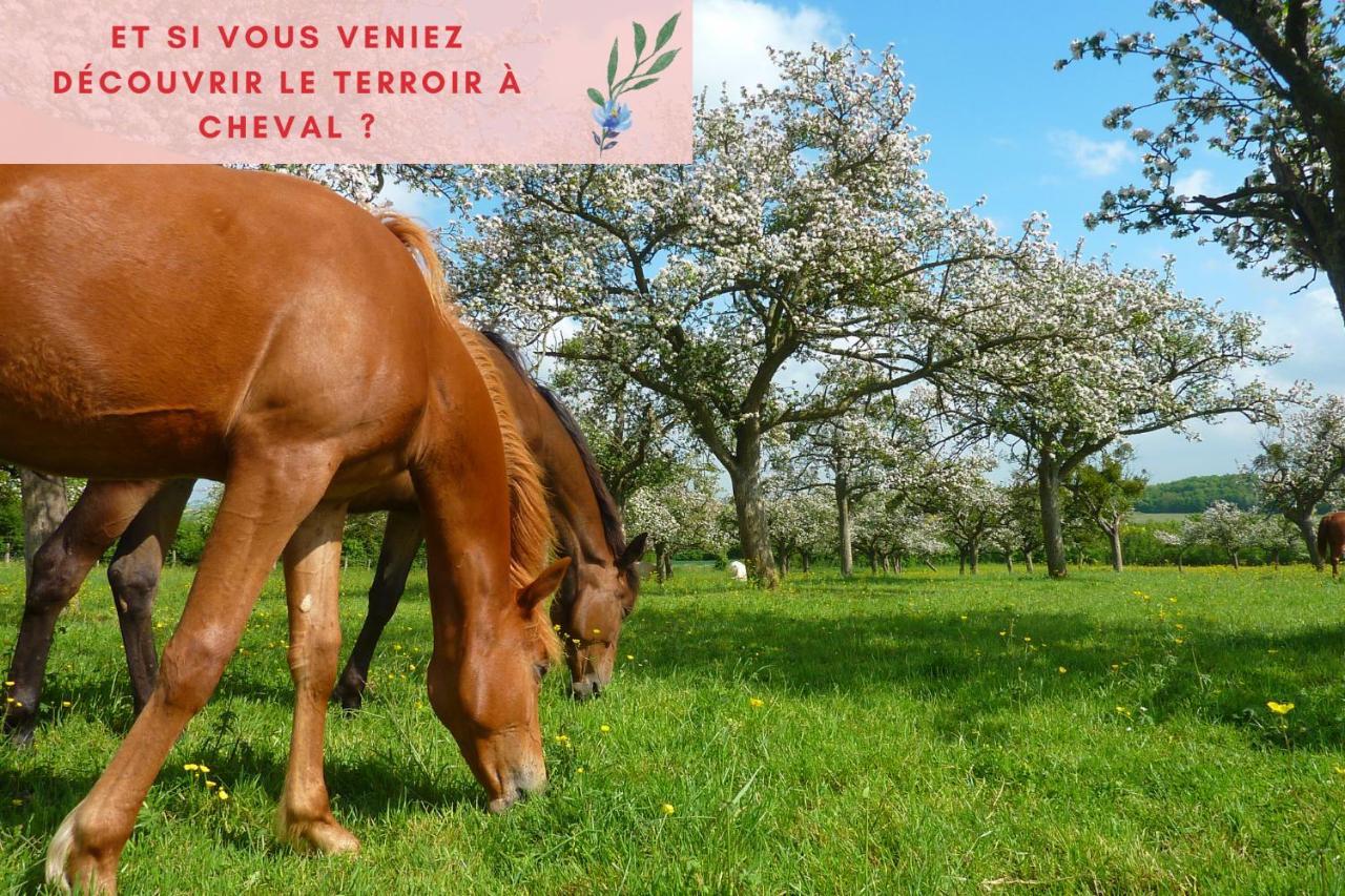 Suite Jungle - Jardin, Netflix Et Parking - Le Manoir Aux Pommes Orbec Buitenkant foto
